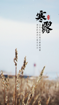 1731032388886.png